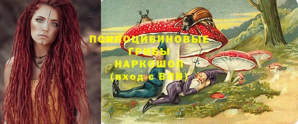 трава Беломорск