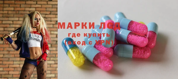 трава Беломорск